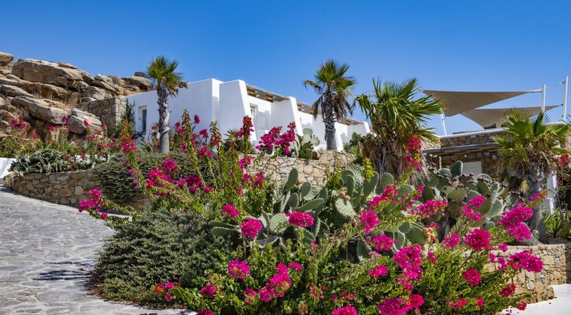 Photo of Olive Branch & Aegean Blue