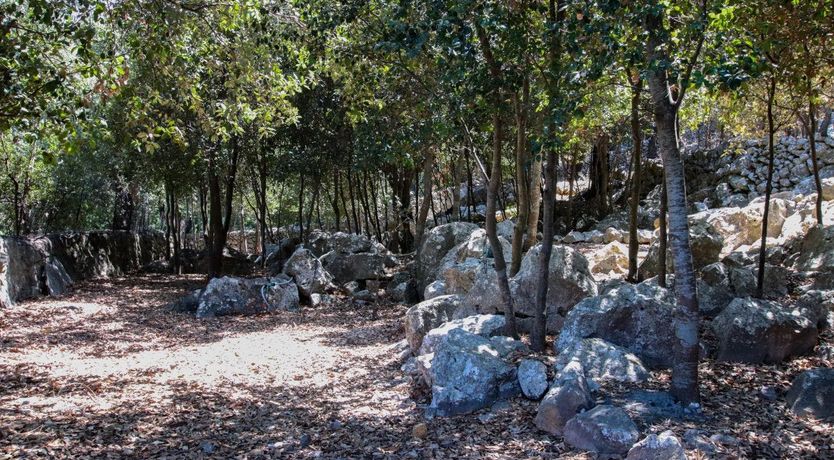 Photo of Pastoral Daydream