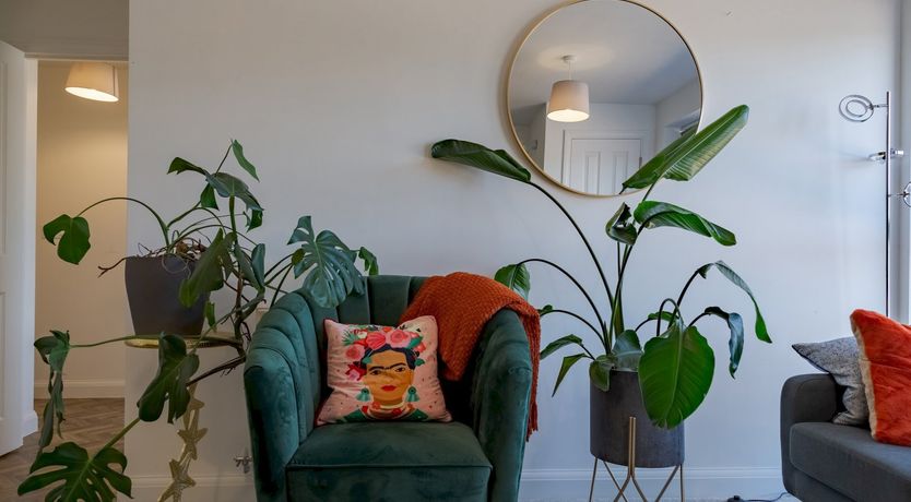 Photo of Frida's Oasis