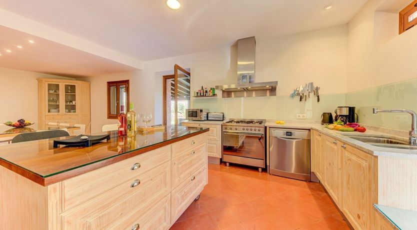 Photo of Everlasting Vistas