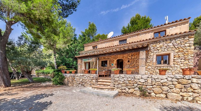 Photo of A Twist of Green