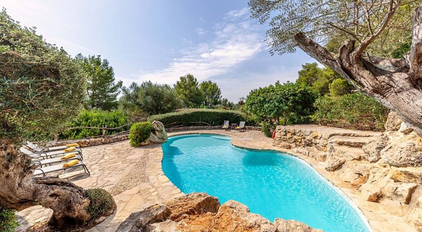 Photo of A Twist of Green