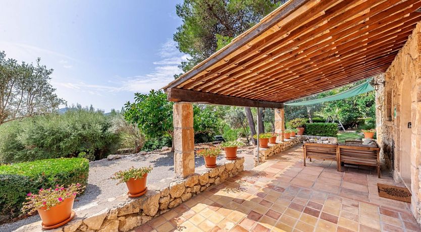 Photo of A Twist of Green