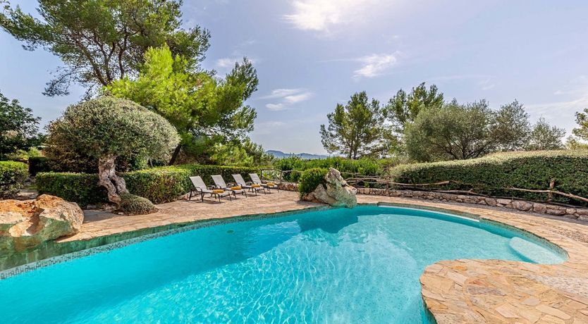 Photo of A Twist of Green