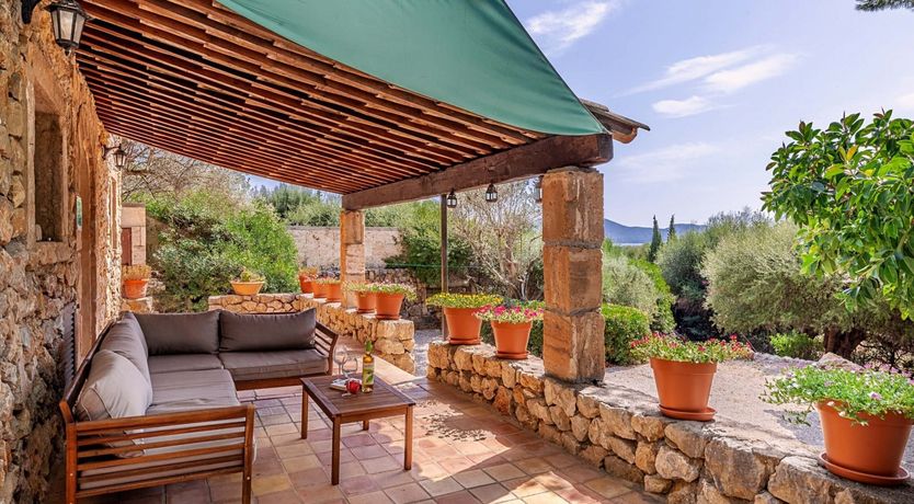 Photo of A Twist of Green