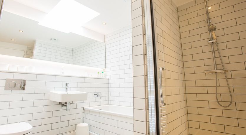 Photo of Palm Trees & Pebbles