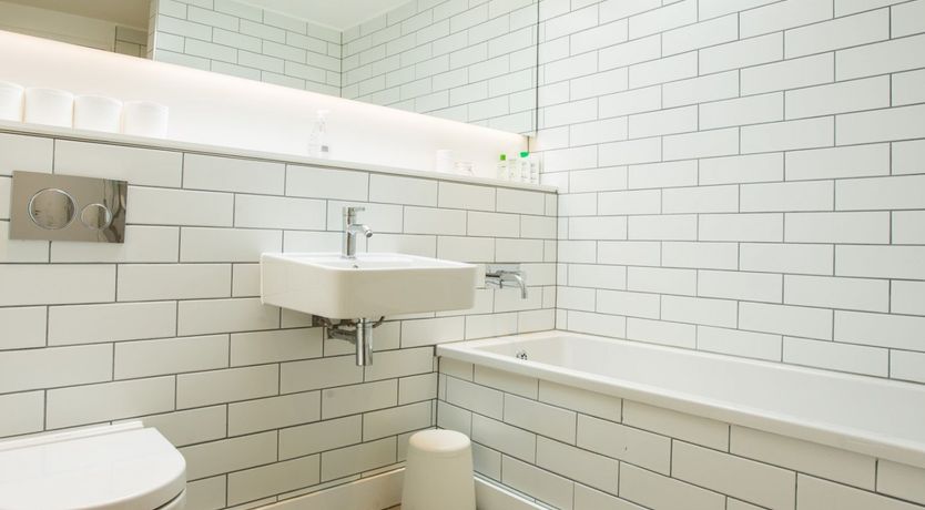 Photo of Palm Trees & Pebbles