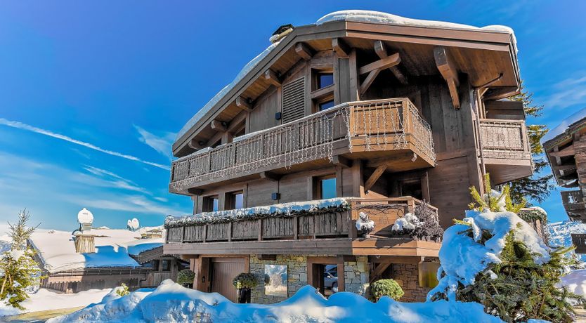 Photo of The Snow Flower