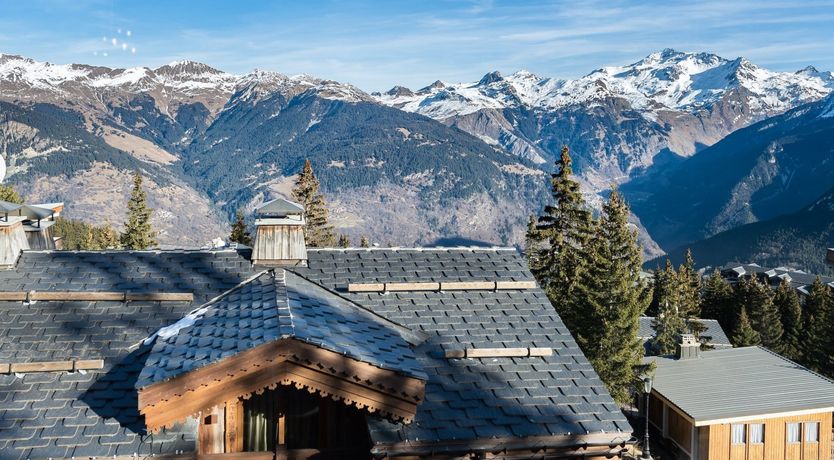 Photo of The Snow Flower