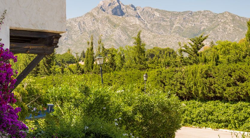 Photo of An Ivory Tower