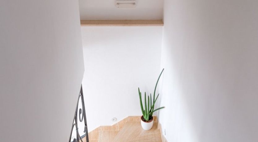 Photo of The Island Life