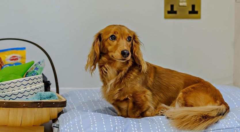 Photo of 1 Bed in Denholm