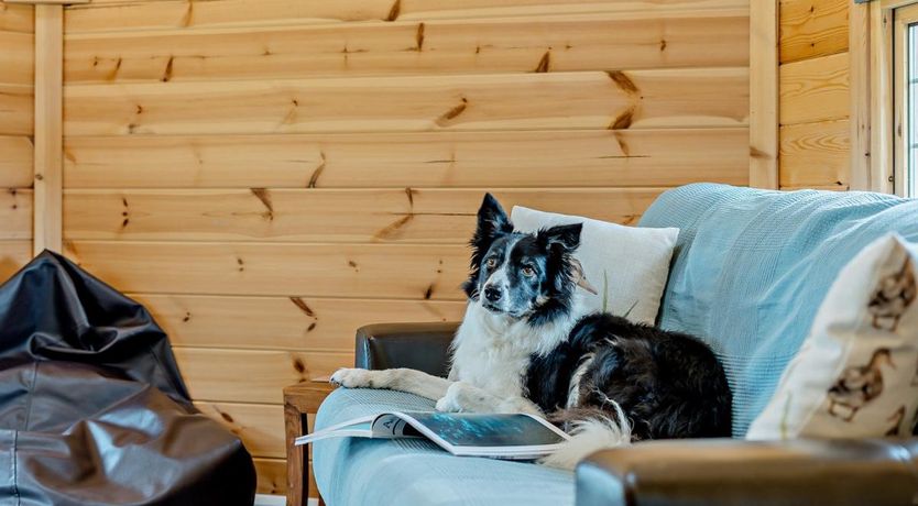 Photo of 1 Bed in Carnwath