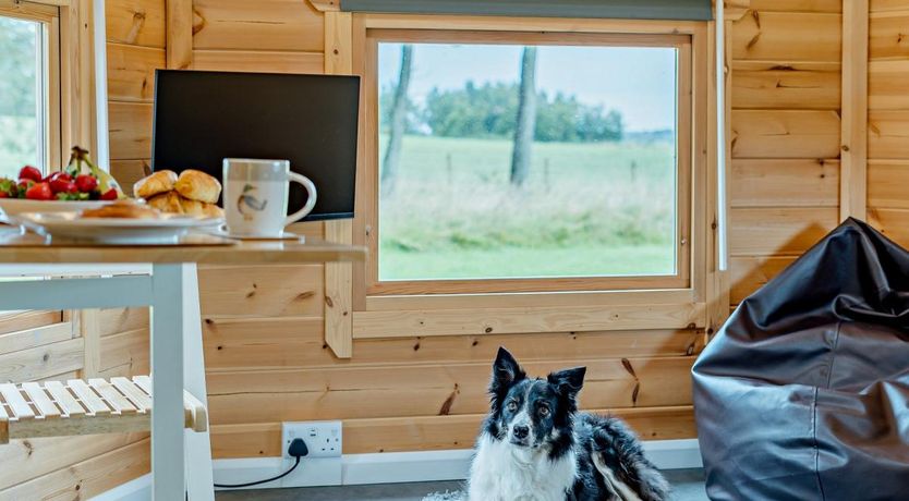 Photo of 1 Bed in Carnwath