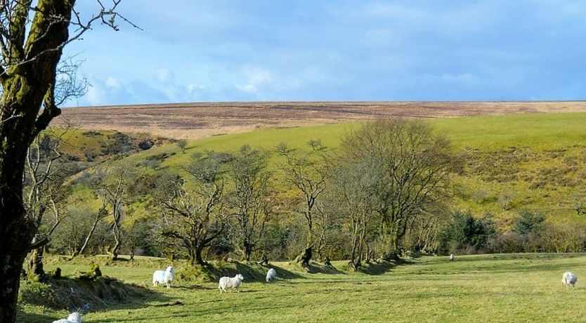 Photo of 3 Bed in Llanllwni