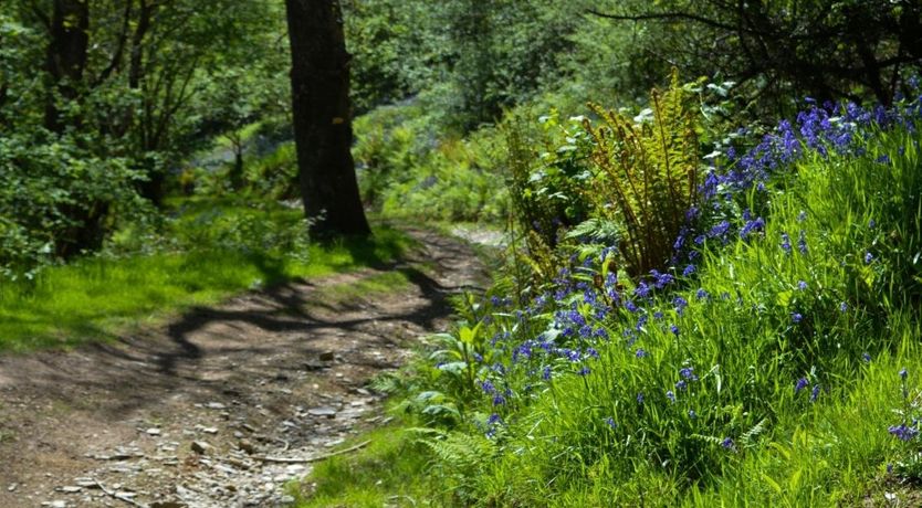 Photo of 3 Bed in Llanllwni