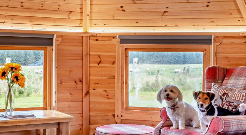 Photo of 1 Bed in Carnwath