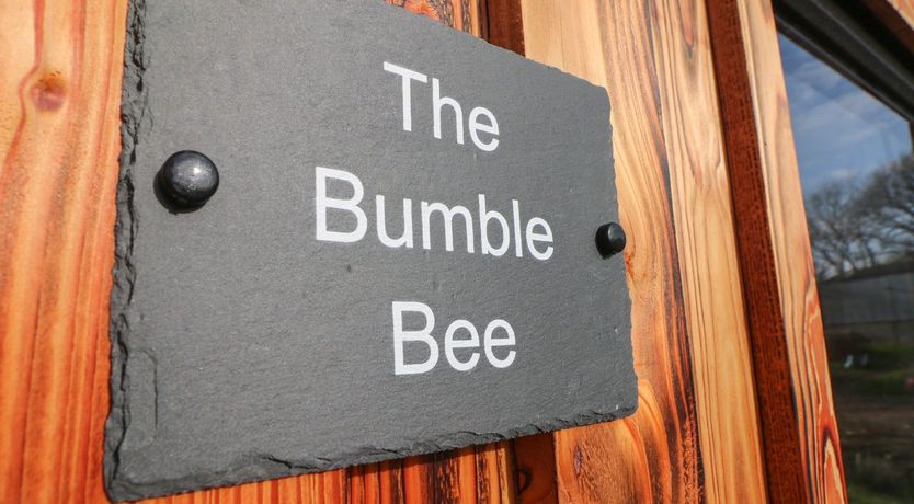 Photo of The Bumblebee