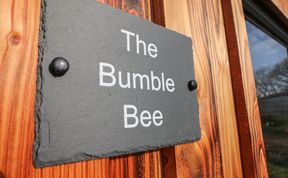 Photo of The Bumblebee