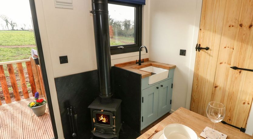 Photo of The Bumblebee