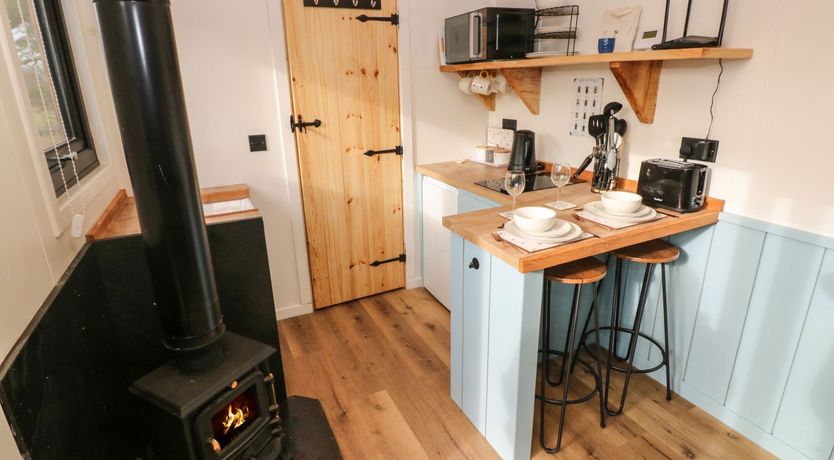 Photo of The Bumblebee