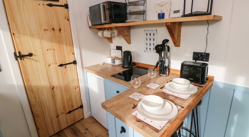 Photo of The Bumblebee