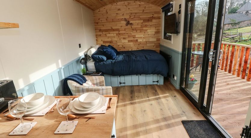 Photo of The Bumblebee