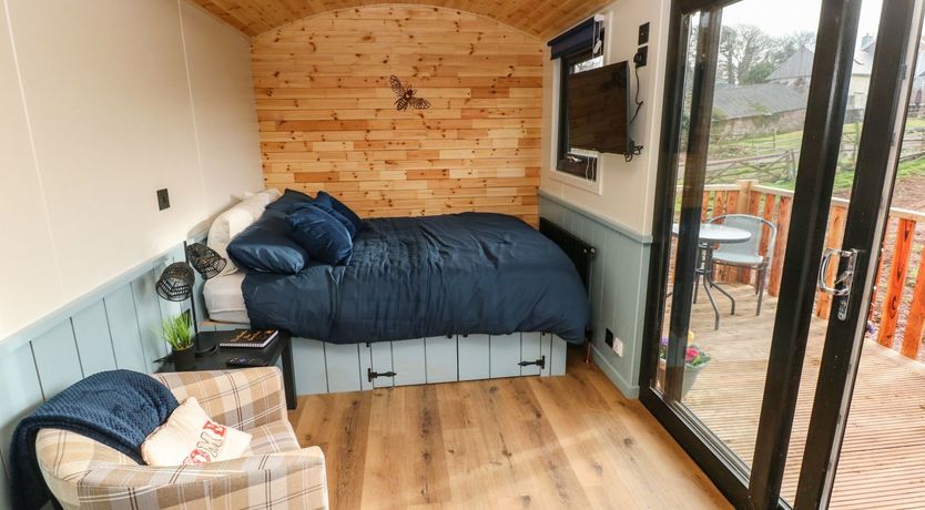 Photo of The Bumblebee