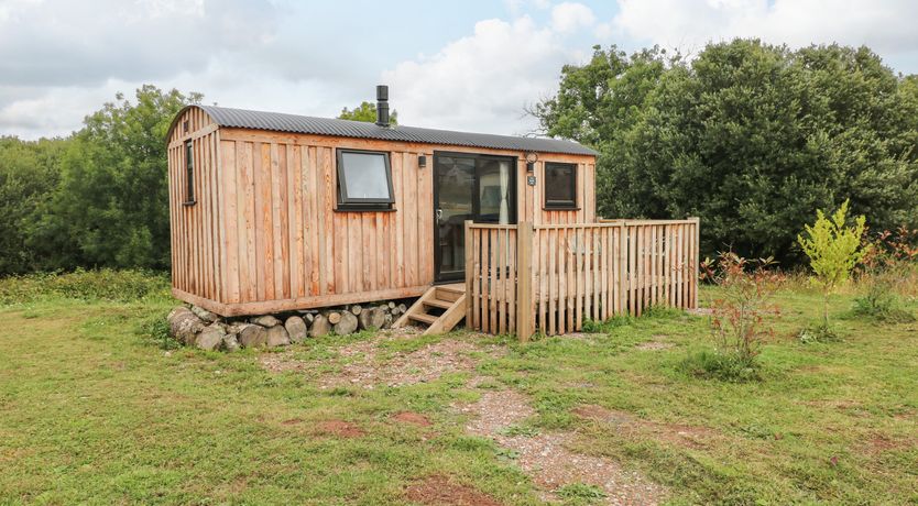 Photo of The Bumblebee