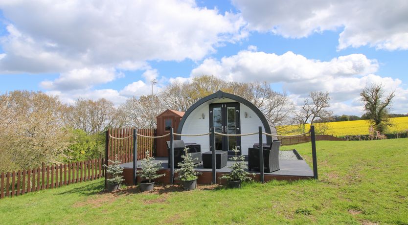 Photo of Cherry Pod 2