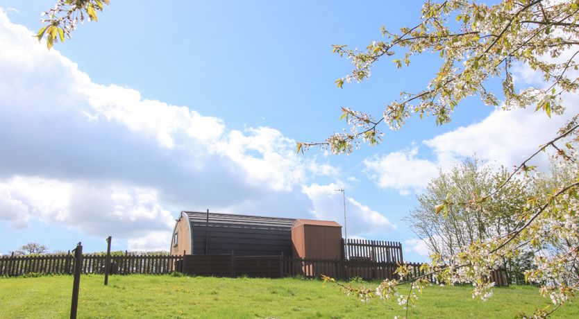 Photo of Cherry Pod 2