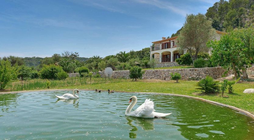 Photo of The Green Eye