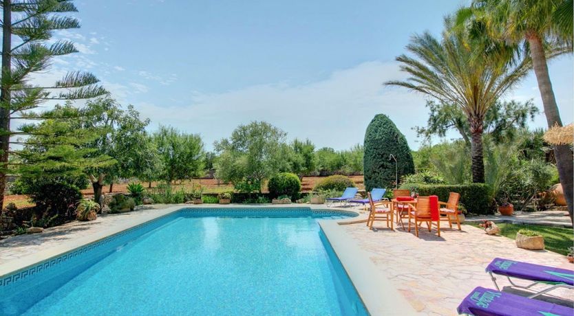 Photo of A Touch of Serenity