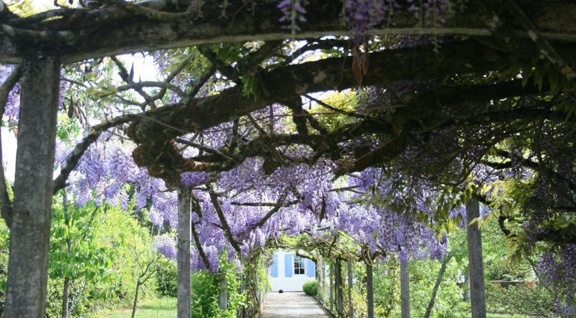 Photo of The Chateau in the Meadow