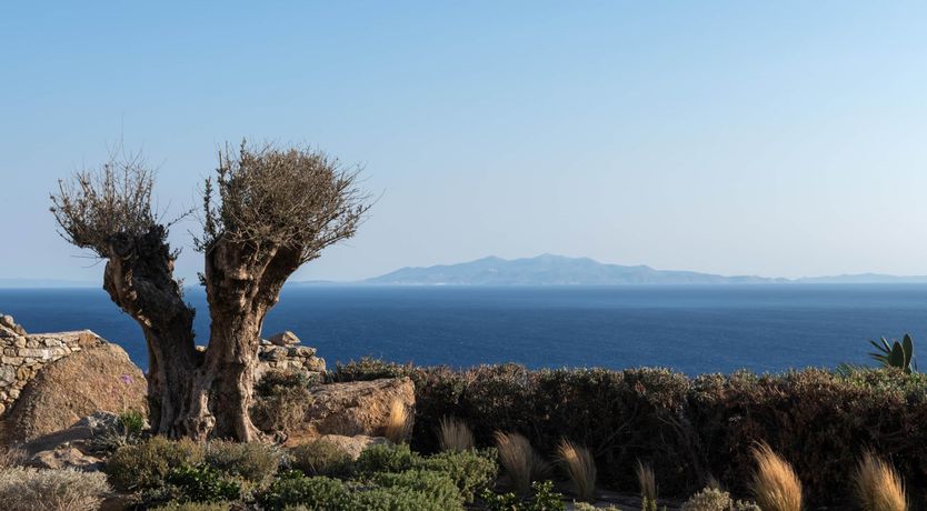 Photo of The Moon's Mirror