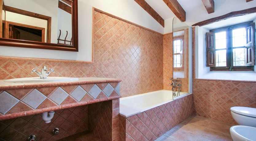 Photo of The Painter's Palette