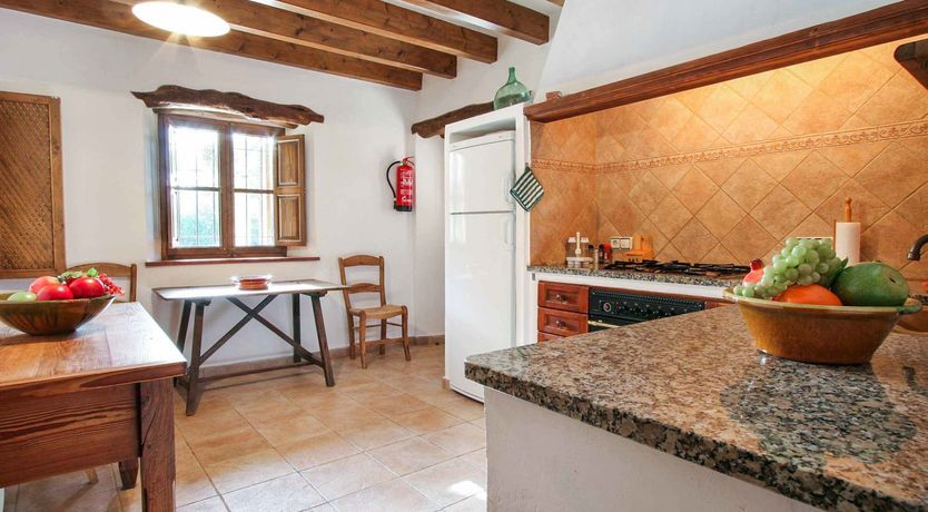 Photo of The Painter's Palette