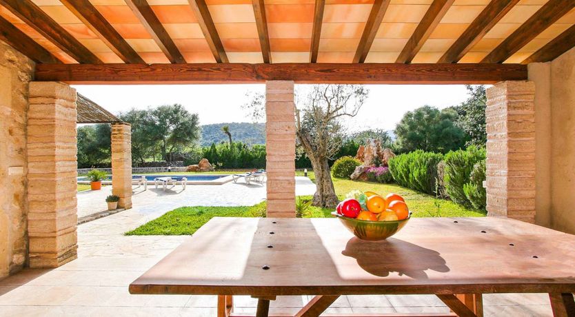 Photo of The Painter's Palette