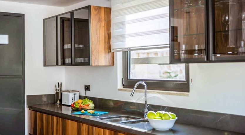 Photo of Delicate Rose