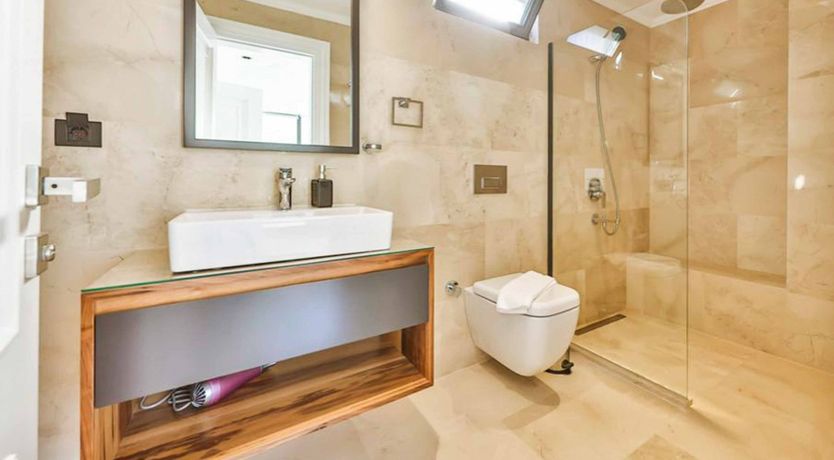 Photo of Delicate Rose