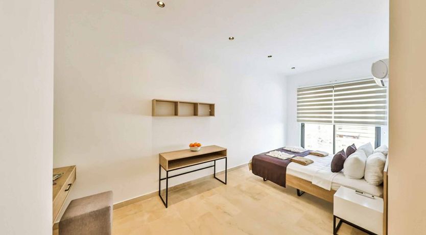 Photo of Delicate Rose