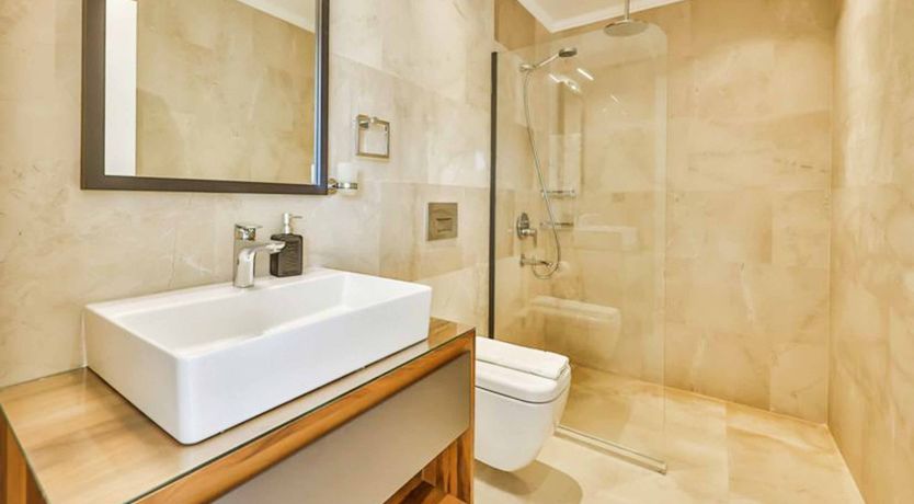 Photo of Delicate Rose