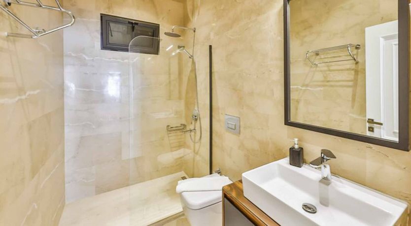 Photo of Delicate Rose