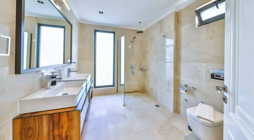 Photo of Delicate Rose