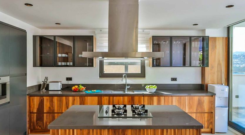 Photo of Delicate Rose