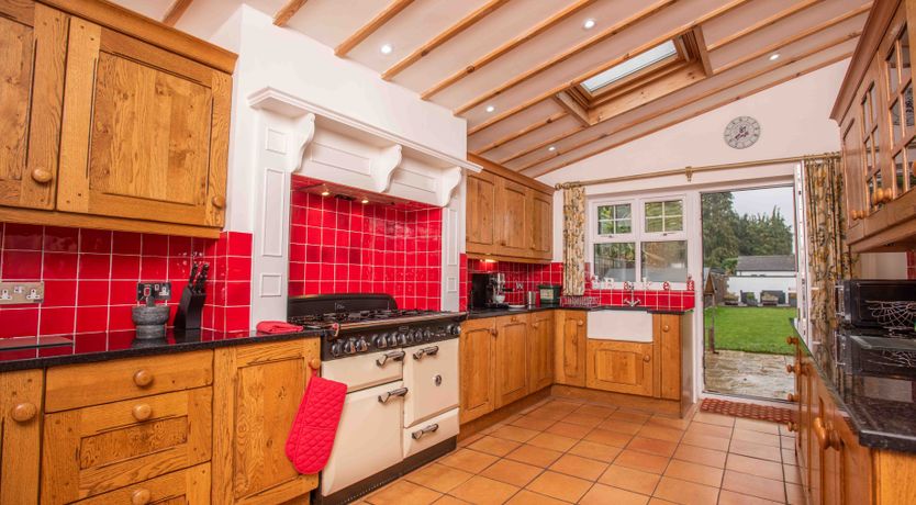 Photo of The Fiddlehead