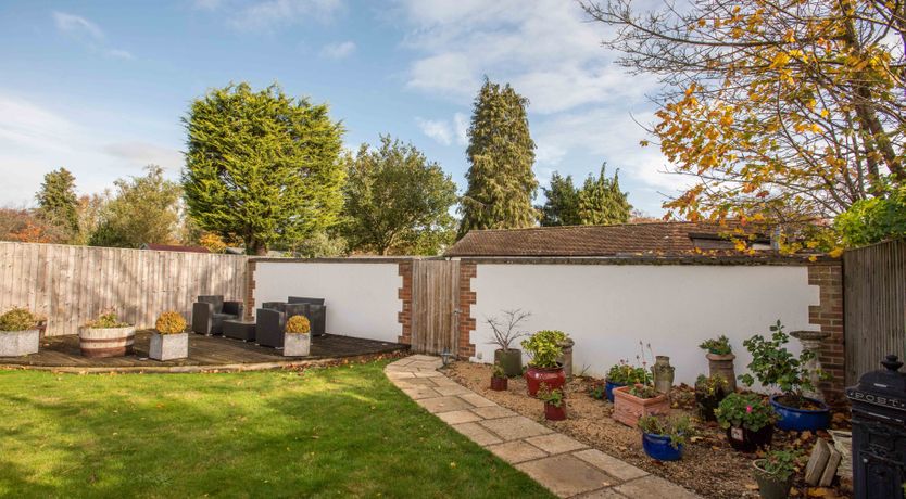 Photo of The Fiddlehead