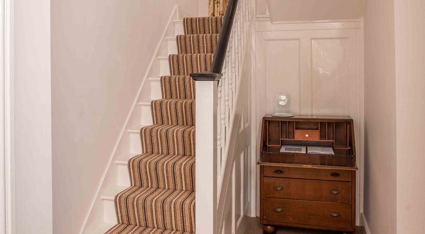 Photo of The Fiddlehead