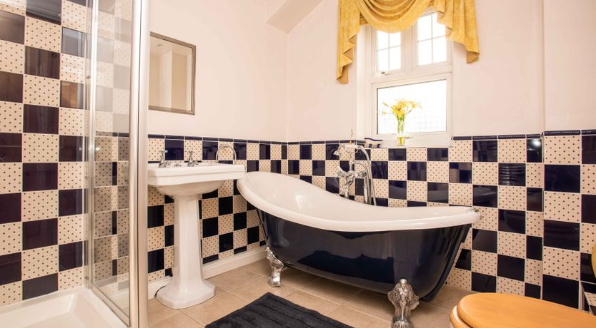 Photo of The Fiddlehead