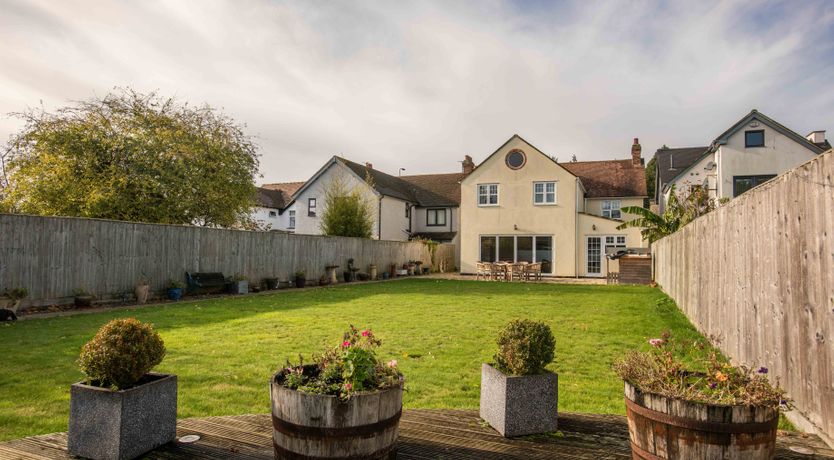 Photo of The Fiddlehead